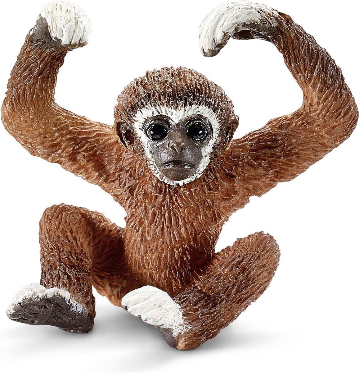 Jonge Gibbon