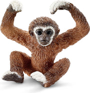 Jonge Gibbon