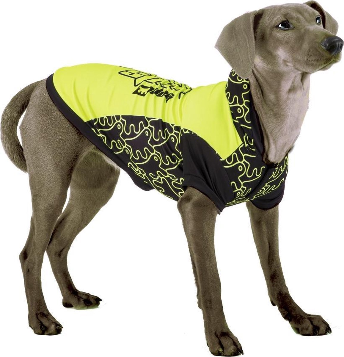 Trainer tg xl shirt a capuche
