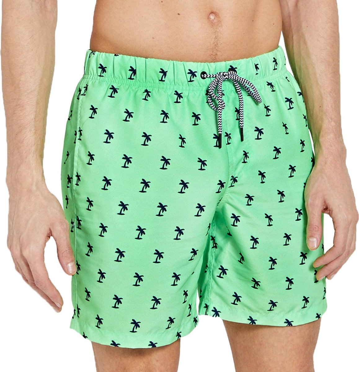 Shiwi Palm Zwembroek - Mannen - groen