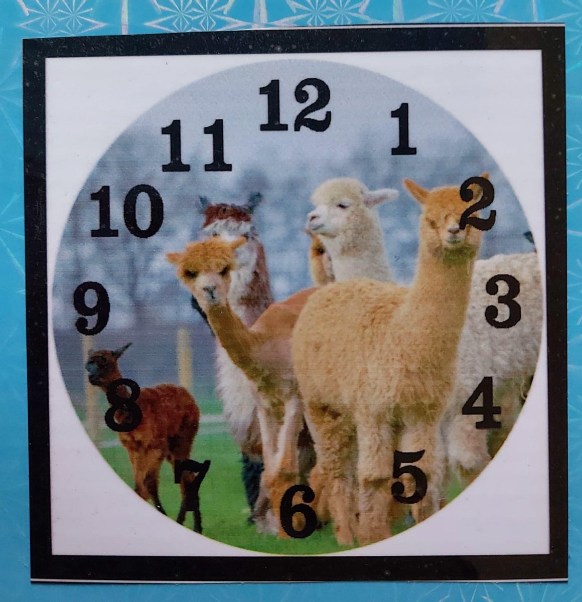 Diamond painting klok - Lama's