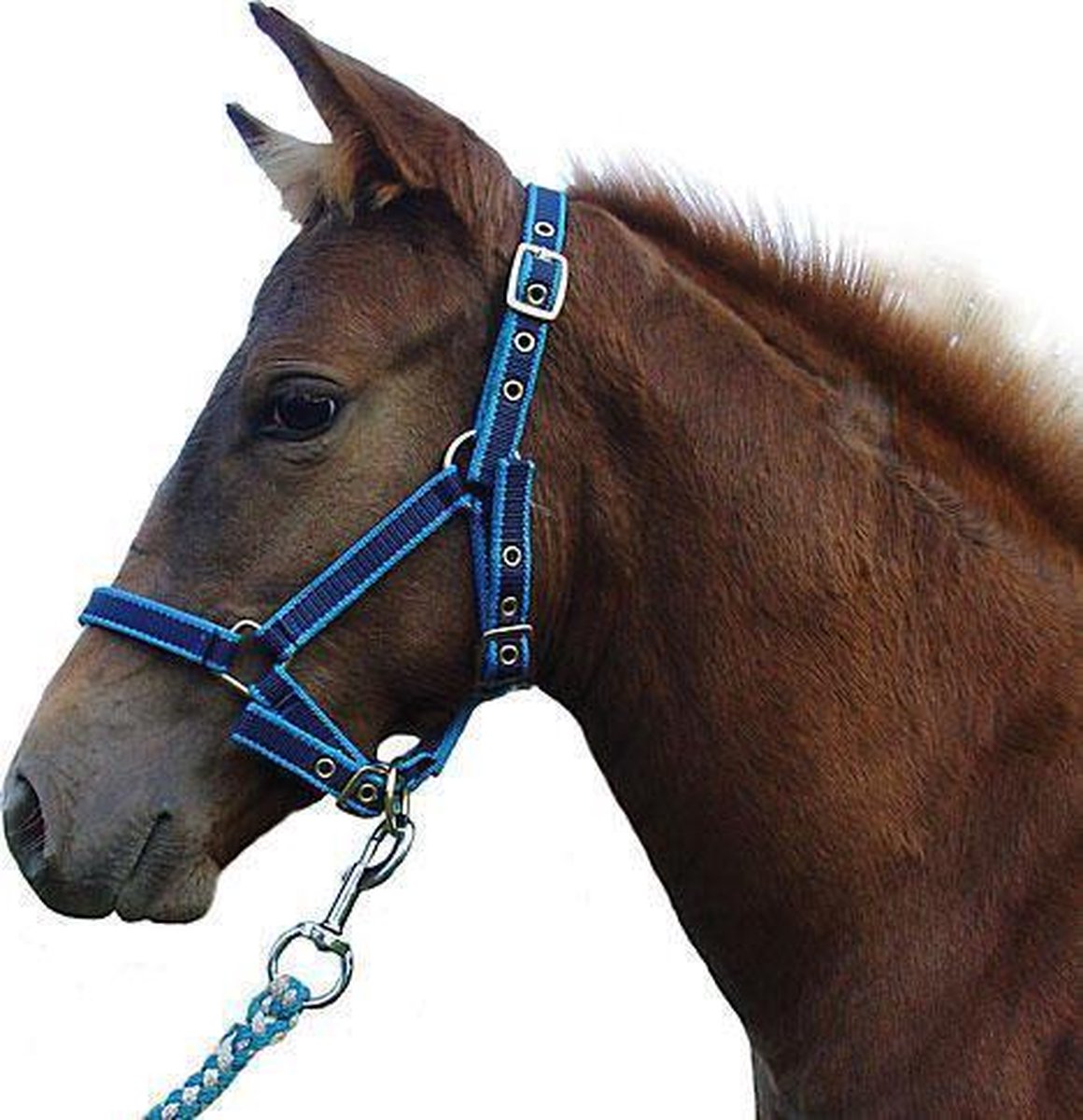 Kerbl Eurohorse Veulenhalster Exclusief Blauw