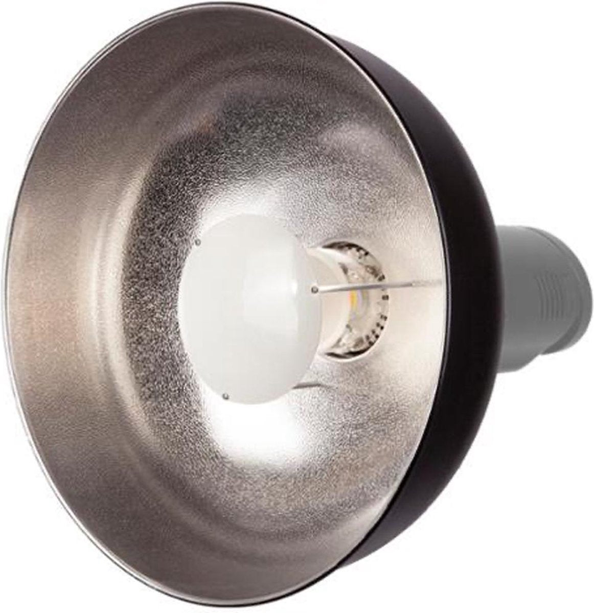 Bowens Beauty Dish