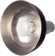Bowens Beauty Dish