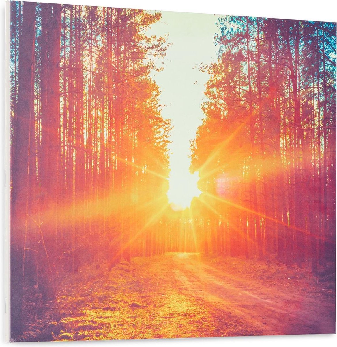 Wonderwall Air Art Infinite infrarood verwarming 60x50 cm 300W FB wit