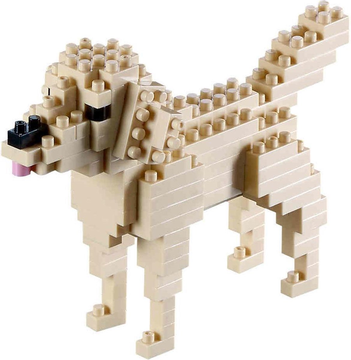 BRIXIES Golden Retriever