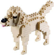 BRIXIES Golden Retriever
