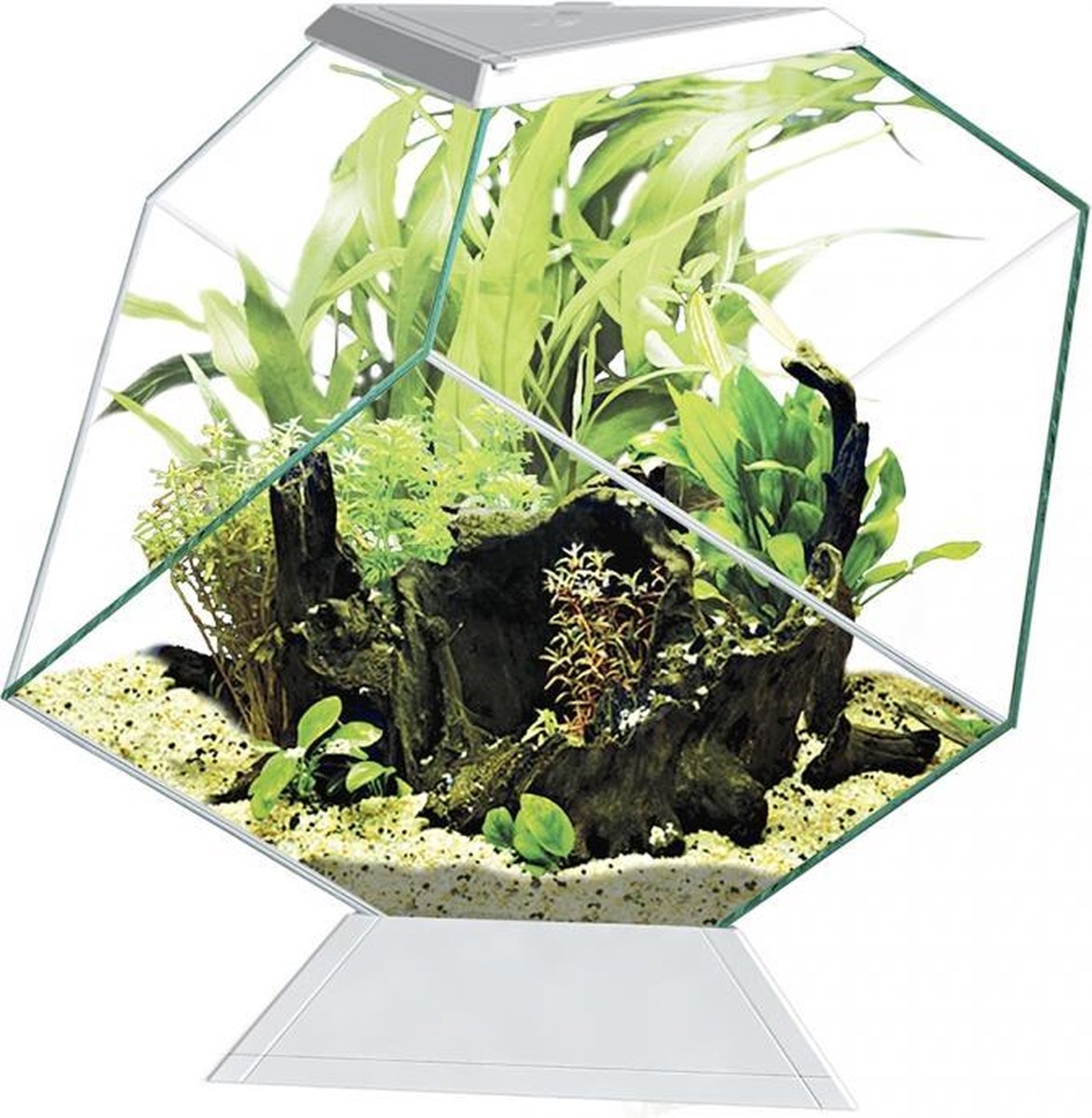 Ciano Aquarium nexus 14c Wit 35