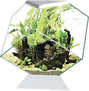 Ciano Aquarium nexus 14c Wit 35