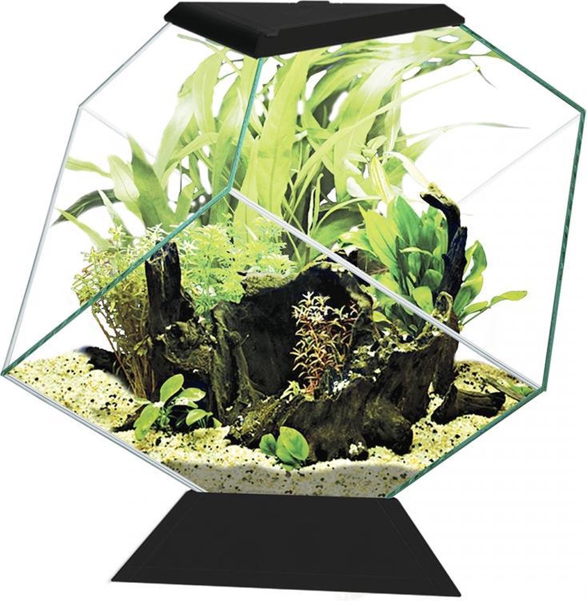 Ciano Aquarium nexus 14c Zwart 35