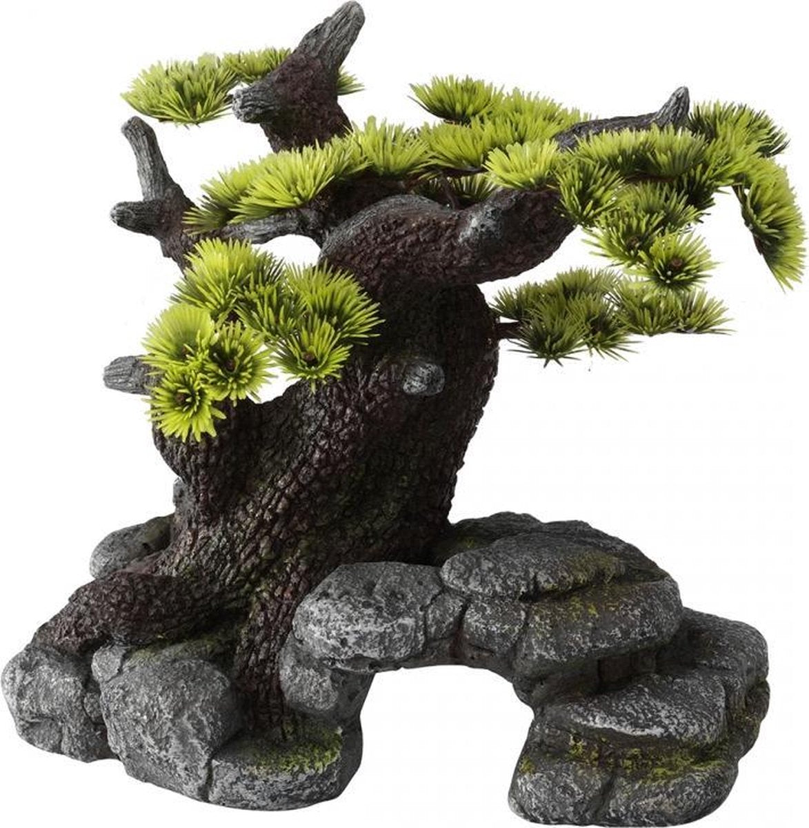 Auqa Della Bonsai ML - 26x17