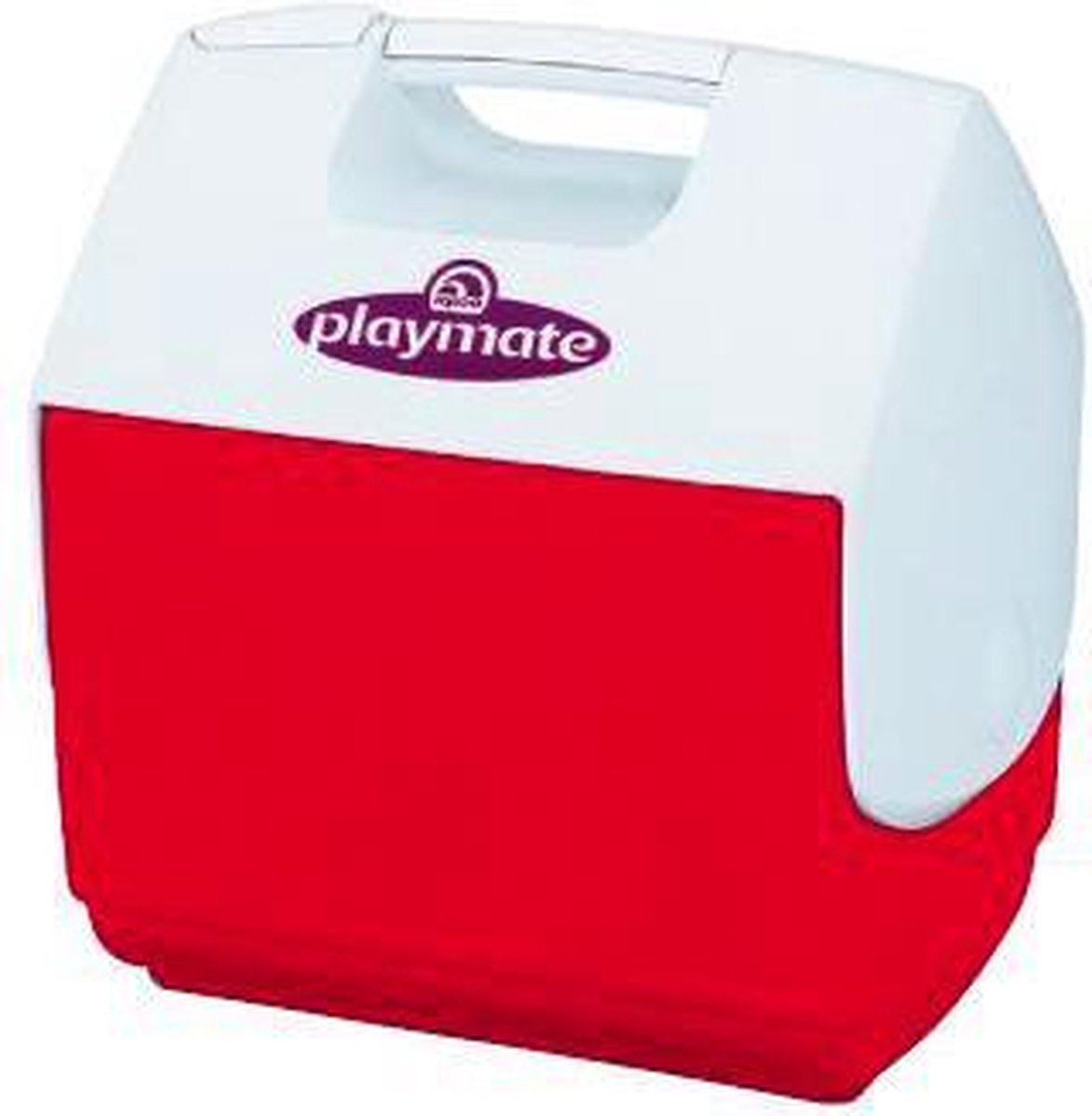 Igloo Koelbox Playmate - 6