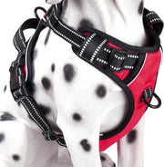 Frenkiez Reflective No Pull Dog Harness