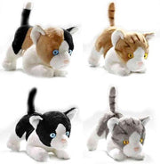 Bicolini Knuffel 4x Gesorteerde Kortharige Katjes 18 Cm