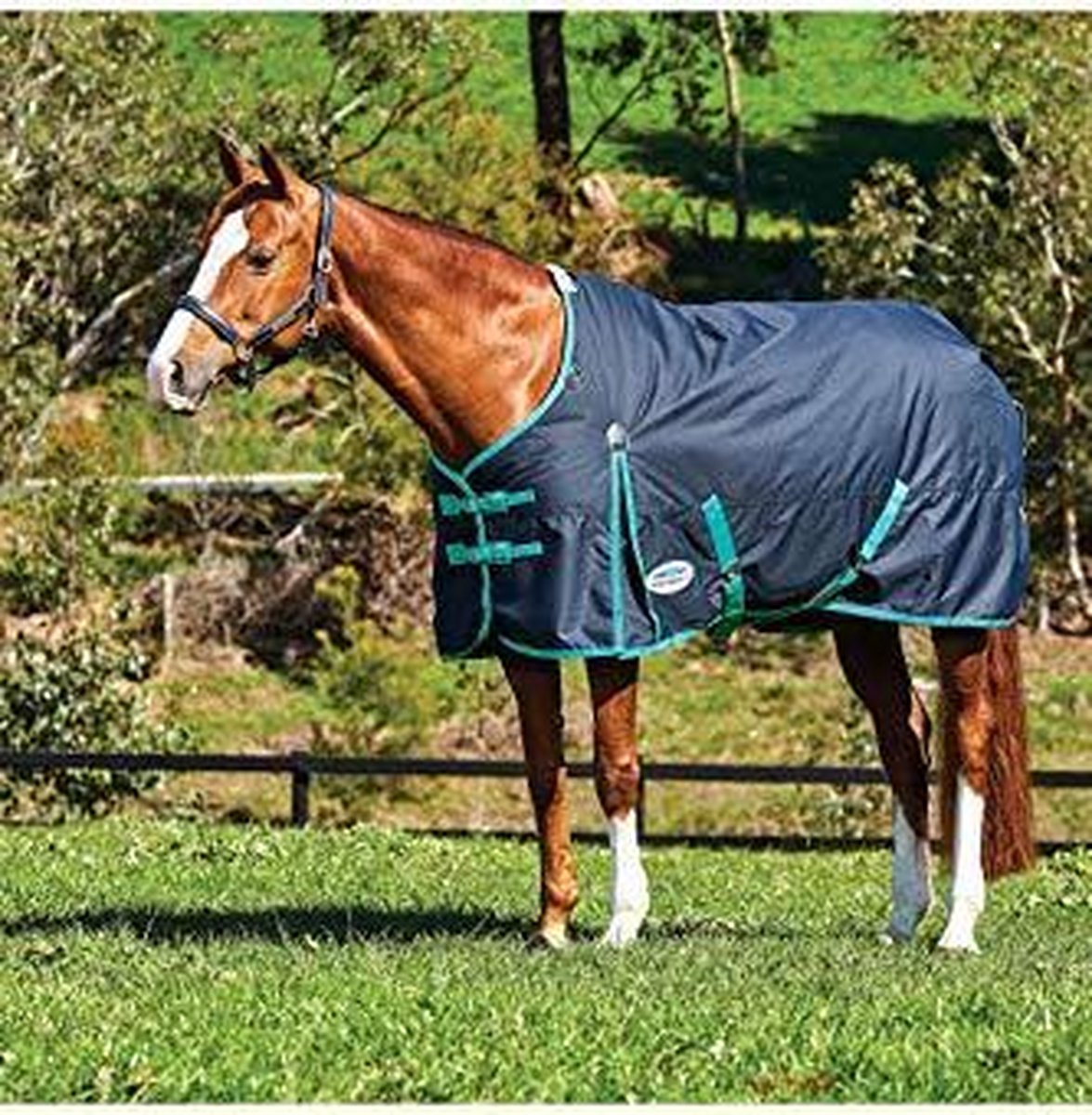 RelaxPets - Weatherbeeta - ComFiTec - Classic - Waterdicht - 220 Gram - 600 Denier - 190 cm
