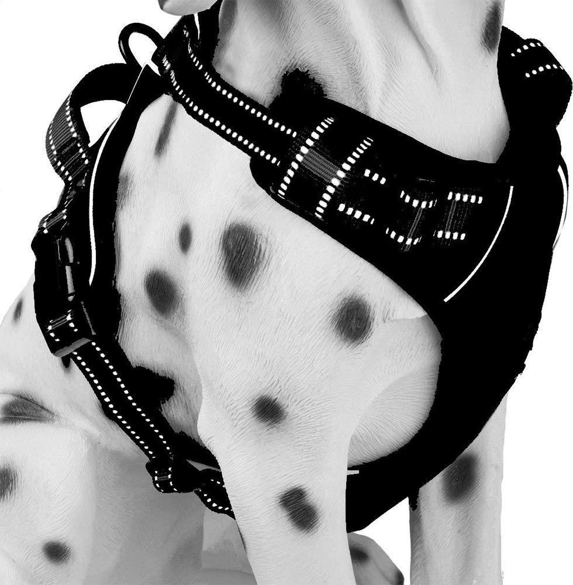 Frenkiez Reflective Basic Harness