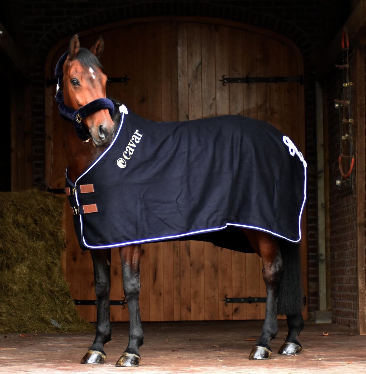 Cavar Wollen Deken 400 gram Donkerblauw 205cm