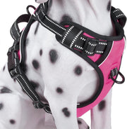 Frenkiez Reflective No Pull Dog Harness