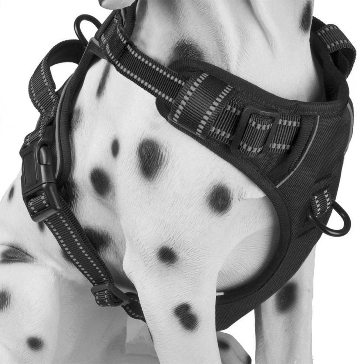Frenkiez Reflective No Pull Harness