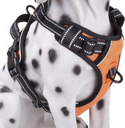 Frenkiez Reflective No Pull Dog Harness
