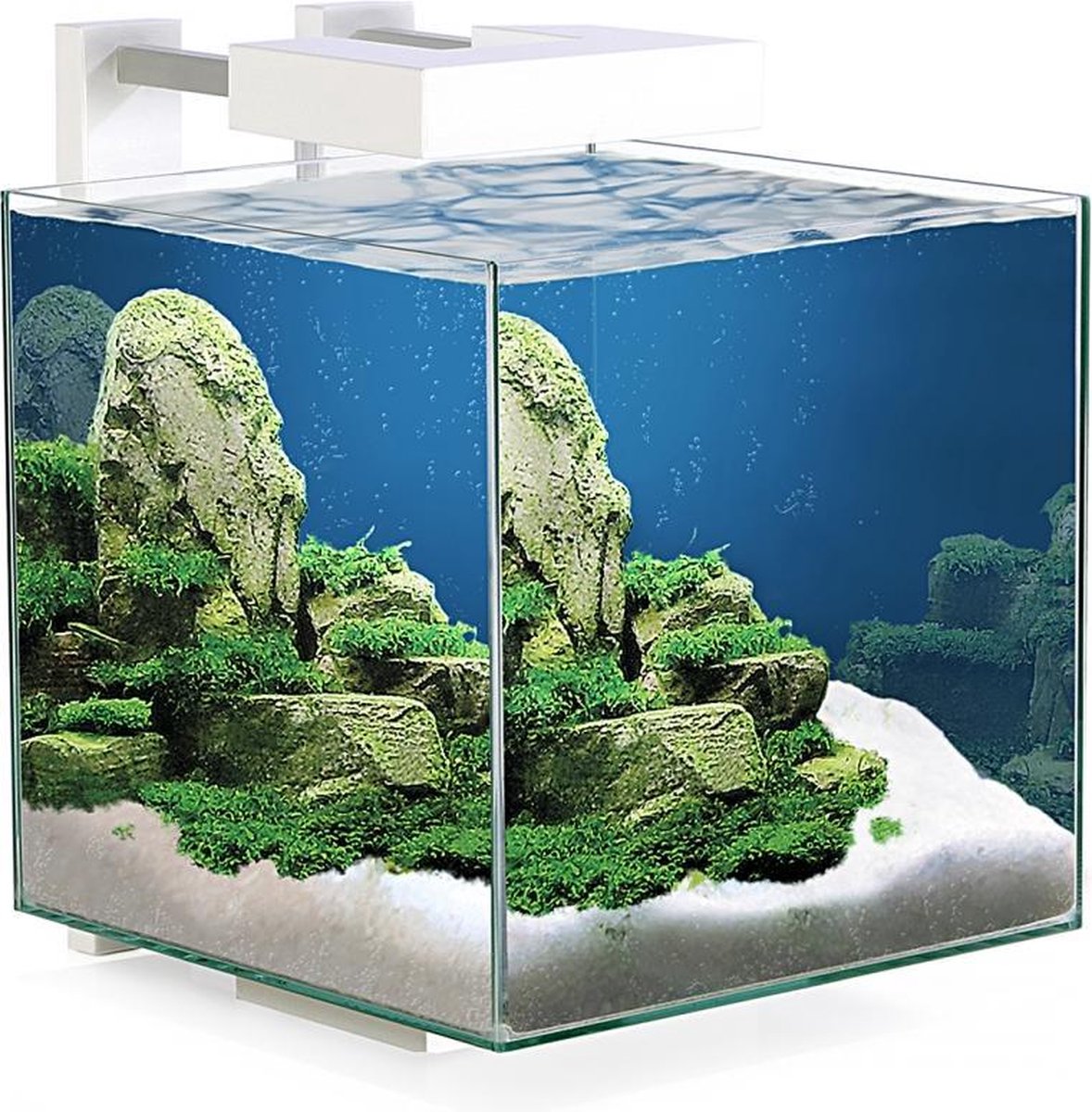 Ciano Aquarium nexus pure 15 led 25x25x31