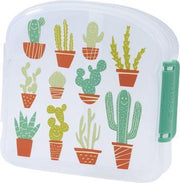 Sugar Booger - Sandwich Box Cactus
