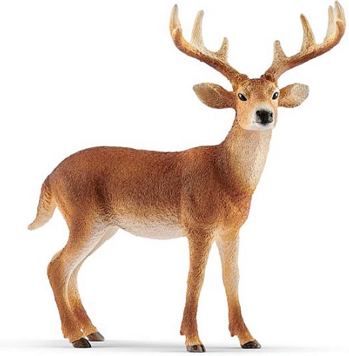 Schleich Witstaarthert 14818 - Hert Speelfiguur - Wild Life - 10