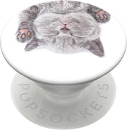 PopSockets - PopGrip Cat Nap