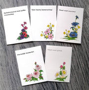Set van 5 stuks Simpele kleine kaartjes