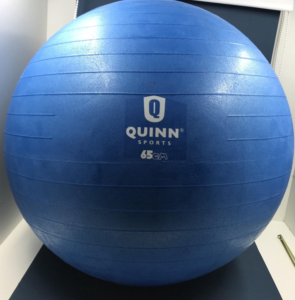 Alex-anti-burst gym ball 1520 gram in doos doorsnede 65 cm inclusief pomp - cadeautje voor haar en hem
