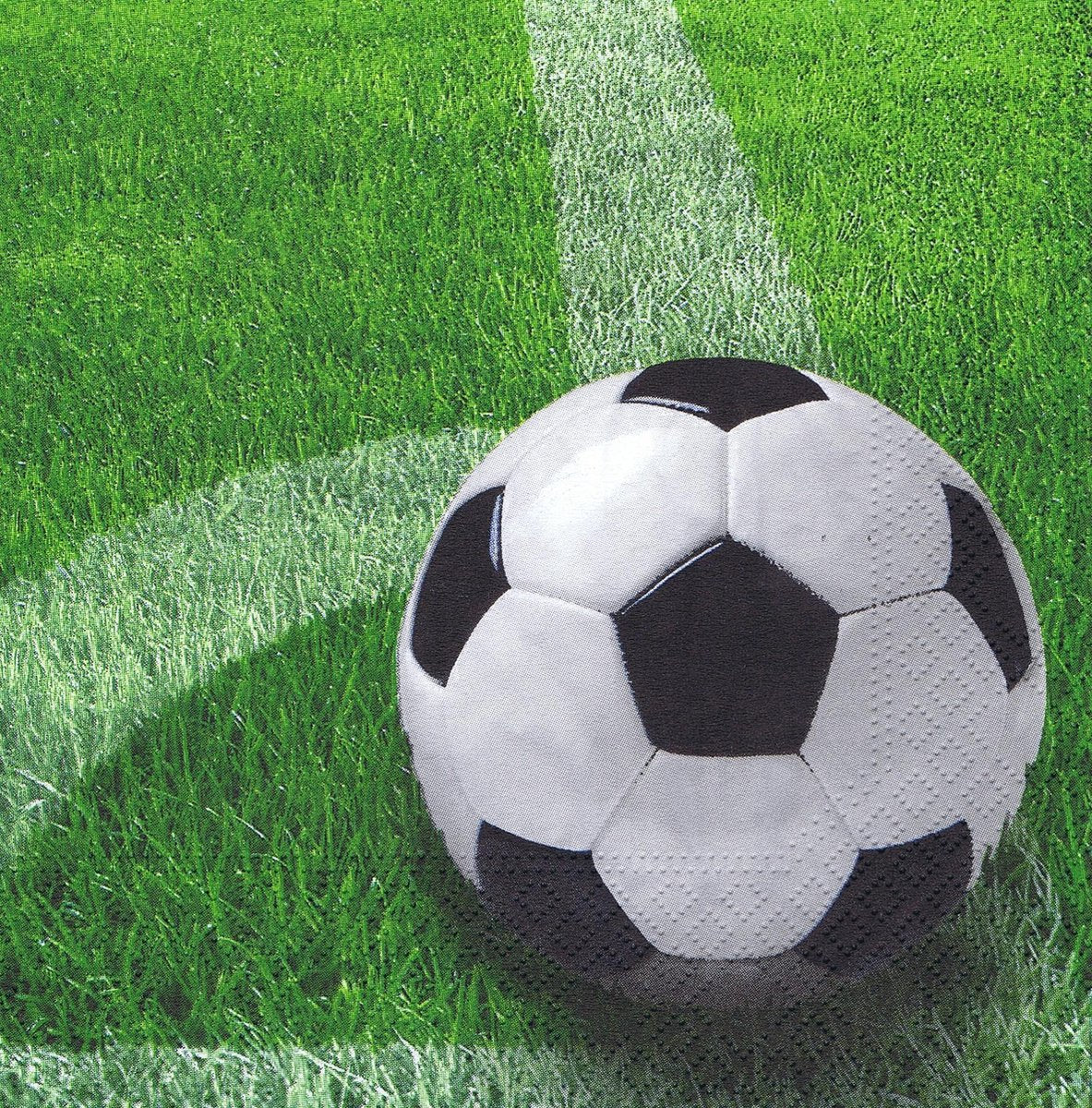 Servetten voetbal - 20 stuks