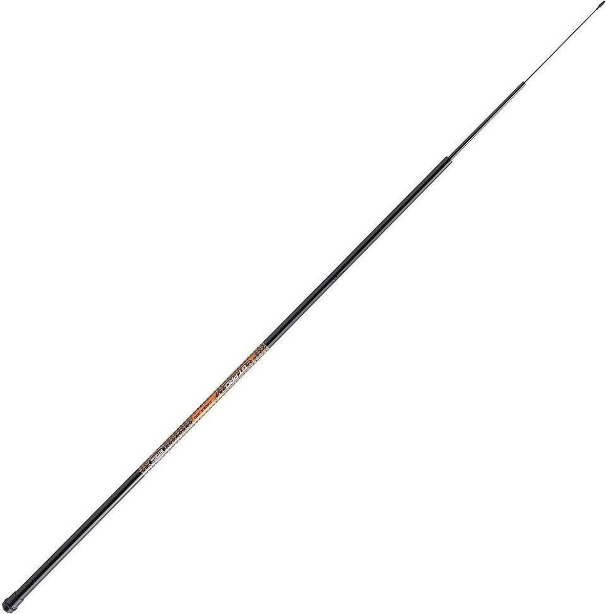 Telescoophengel + tuigje | 3 meter telescopisch | Mitchell Combo GT Pro