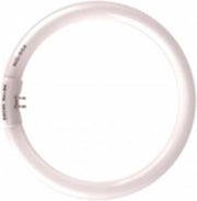 walimex vervangingslamp voor ringlamp 40W