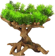Aqua d'ella Flora Scape 11 maat M 22x19x23.5 cm 234/432150