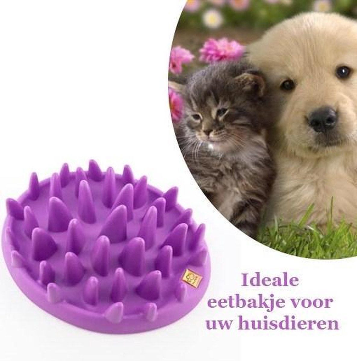 Hét ideale eetbakje voor uw huisdieren
