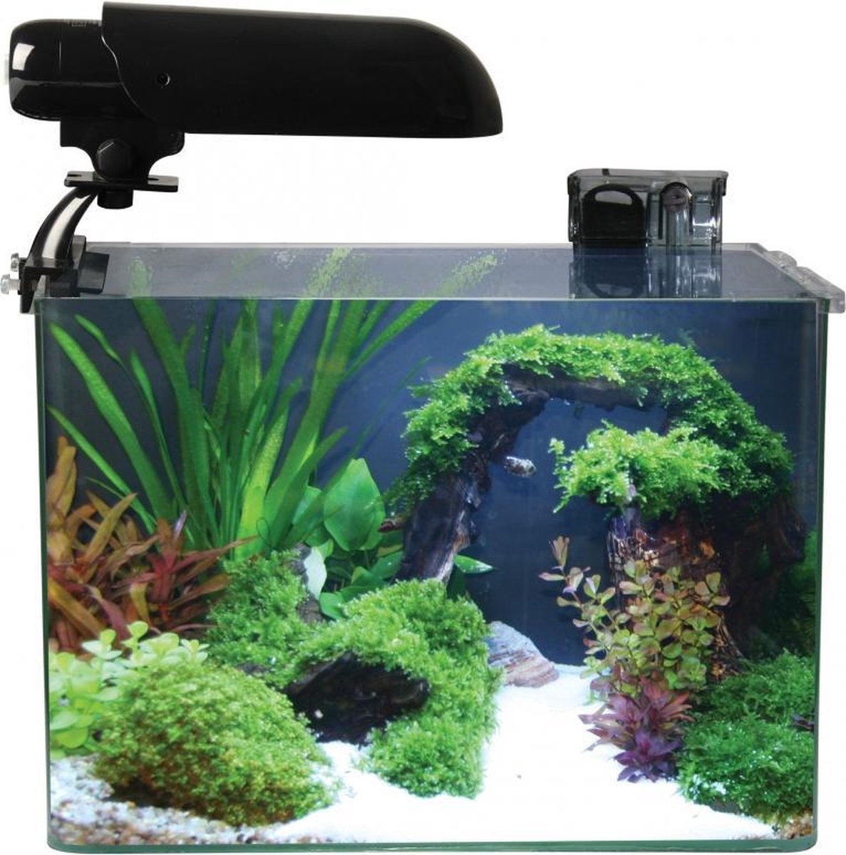 Aquatic Nature Cocoon aquarium nr 4 31x19x26CM