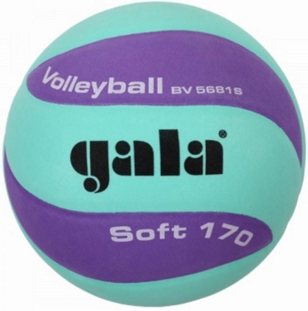 Gala volleybal Jeugd-/Minibal Soft 170g Groen/Lila