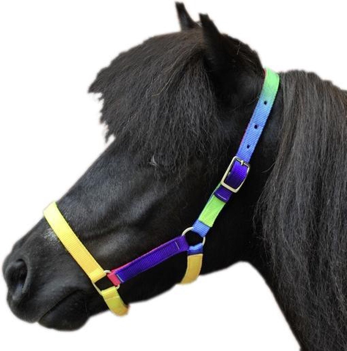 HKM Nylonhalster -Shetty- bont Shetland pony