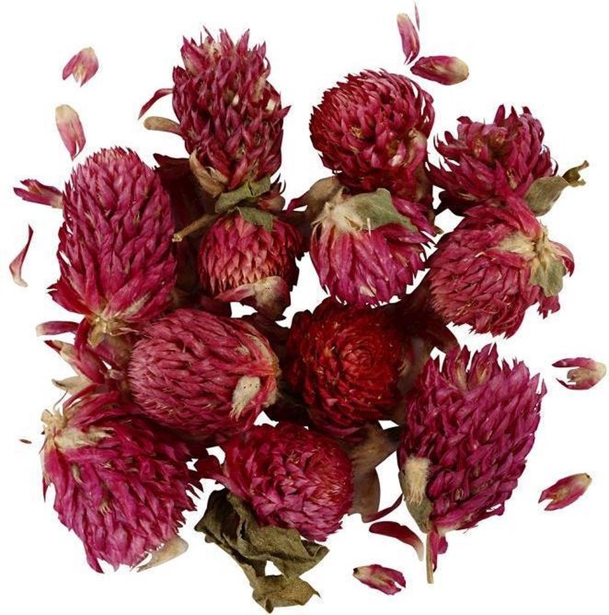 Gedroogde bloemen. paars. Rode klaver. L: 1.5-2.5 cm. d: 1 - 1.5 cm. 15 gr - 1 doos