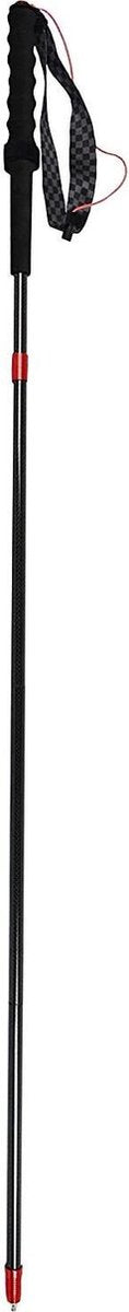 Acecamp Wandelstok Carbon Opvouwbaar Zwart 100 Cm 2 Stuks