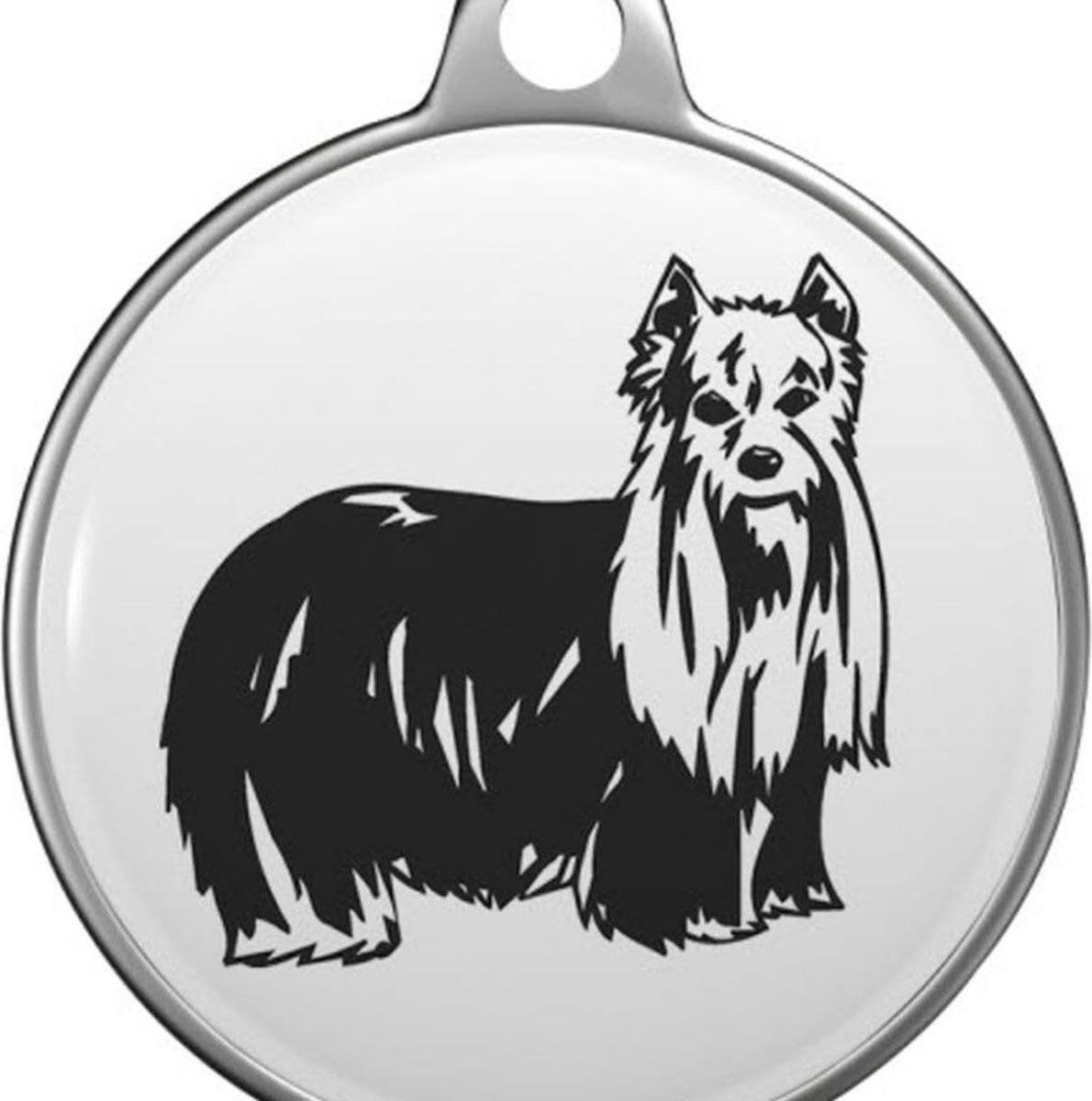 Yorkshire Terrier Tommy Tag Y001