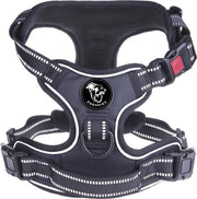 Frenkiez reflective no pull lockable harness