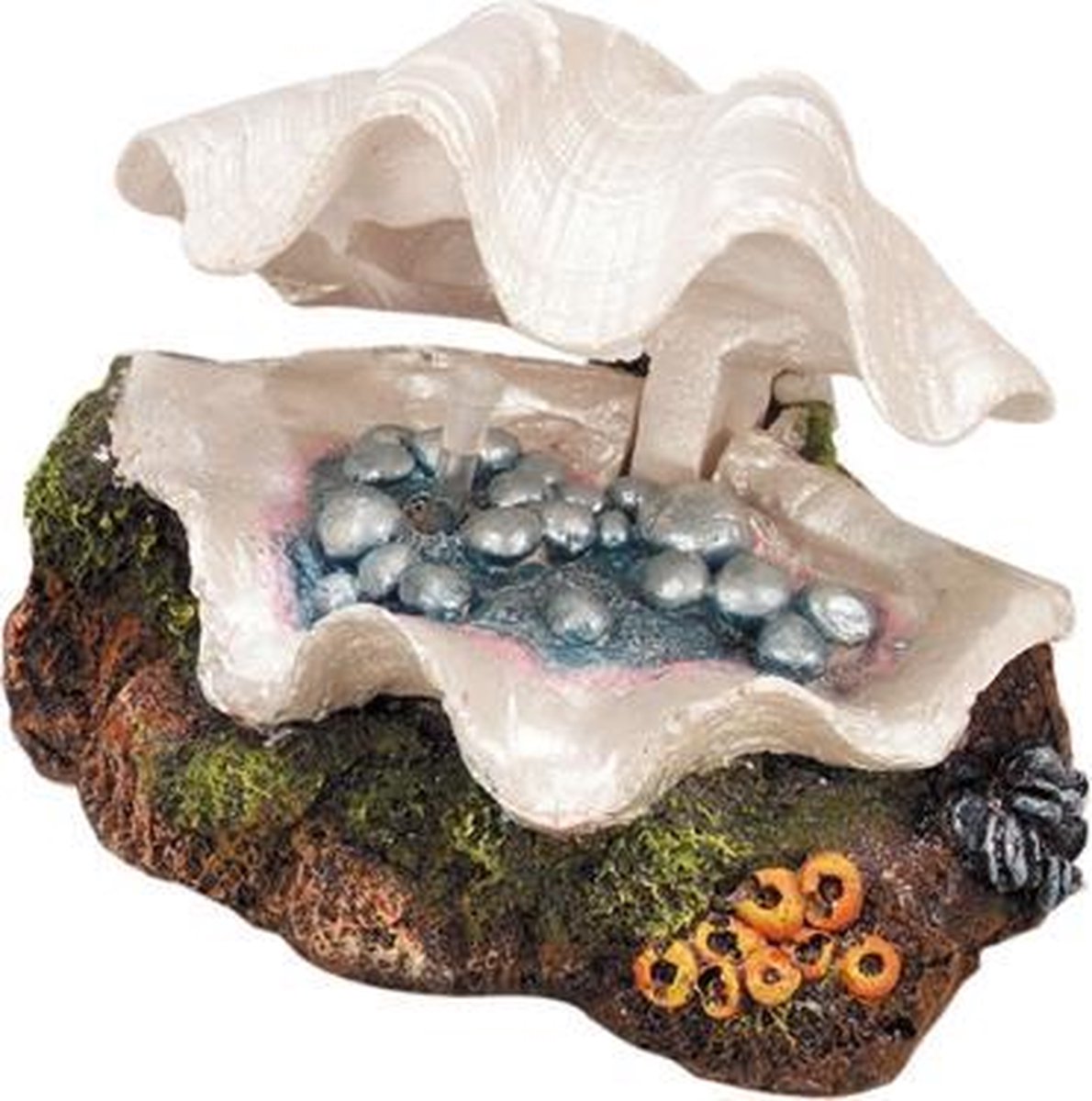 Ebi aktie decor mossel
