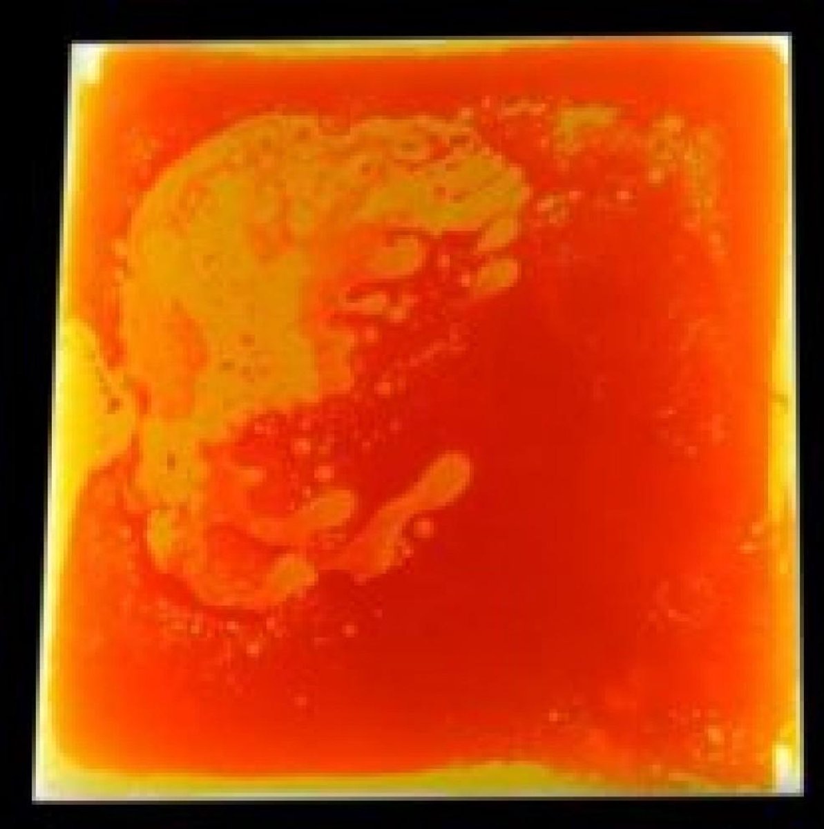 Verlichte Gel Vloertegel Oranje