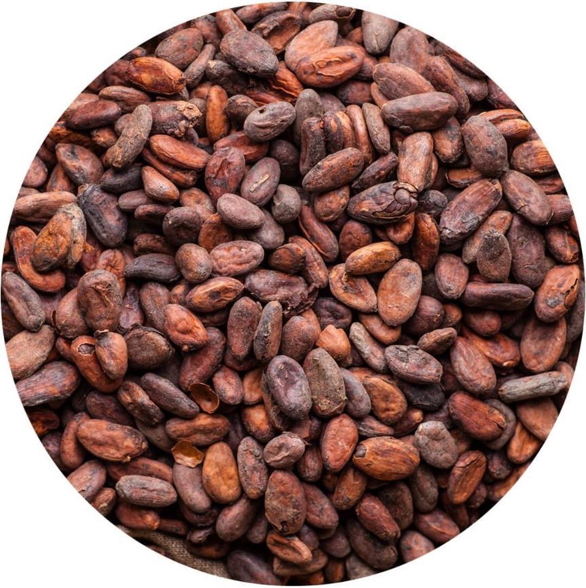 Cacaobonen Raw - 100 gram - Holyflavours -  Biologisch gecertificeerd - Natuurlijk Superfood