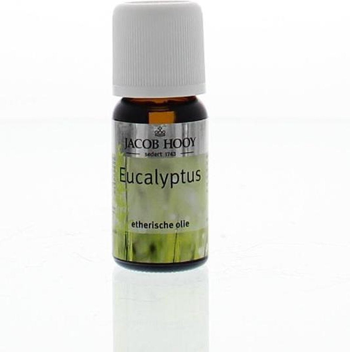 Jacob Hooy Eucalyptus - 10 ml - Etherische Olie
