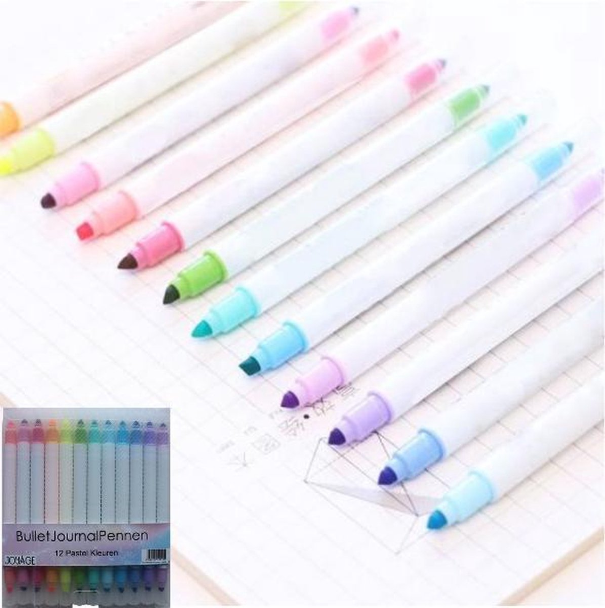 12 Pastel Deluxe Bullet journal pennen - Stiften Kinderen - Mildliners - Pastel Markeerstiften voor Volwassenen - Bullet journal Producten accesoires - Markeerstiften pastel - Twinmarkers - Twinmarker stiften - Kado vrouwen - Vrouwen cadeautjes