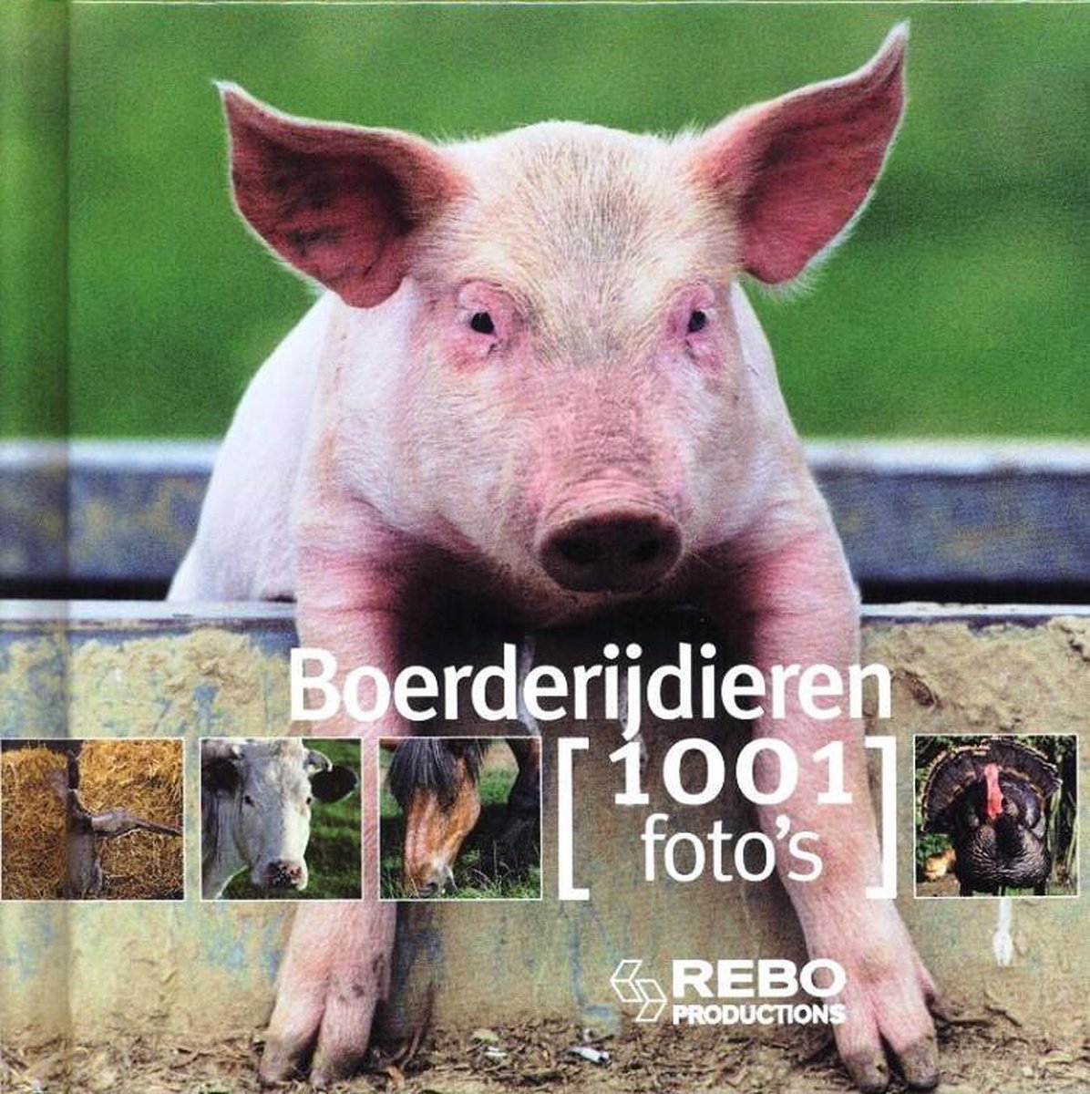 Kinderboeken Rebo - Boerderijdieren