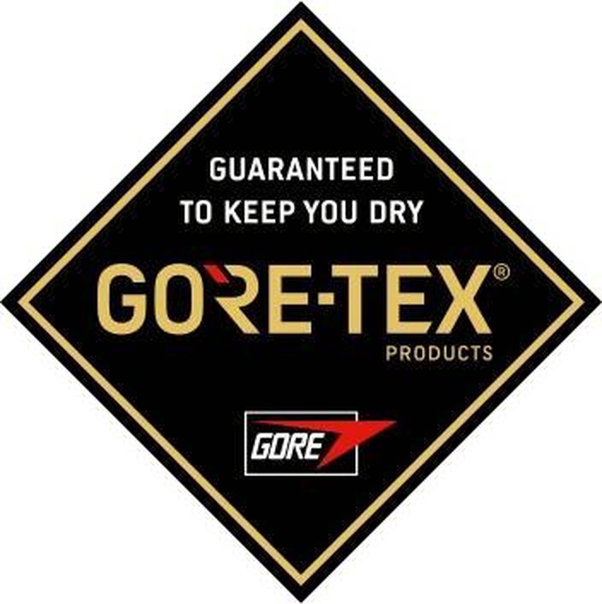 Gore-Tex Paclite Jacket - Zwart