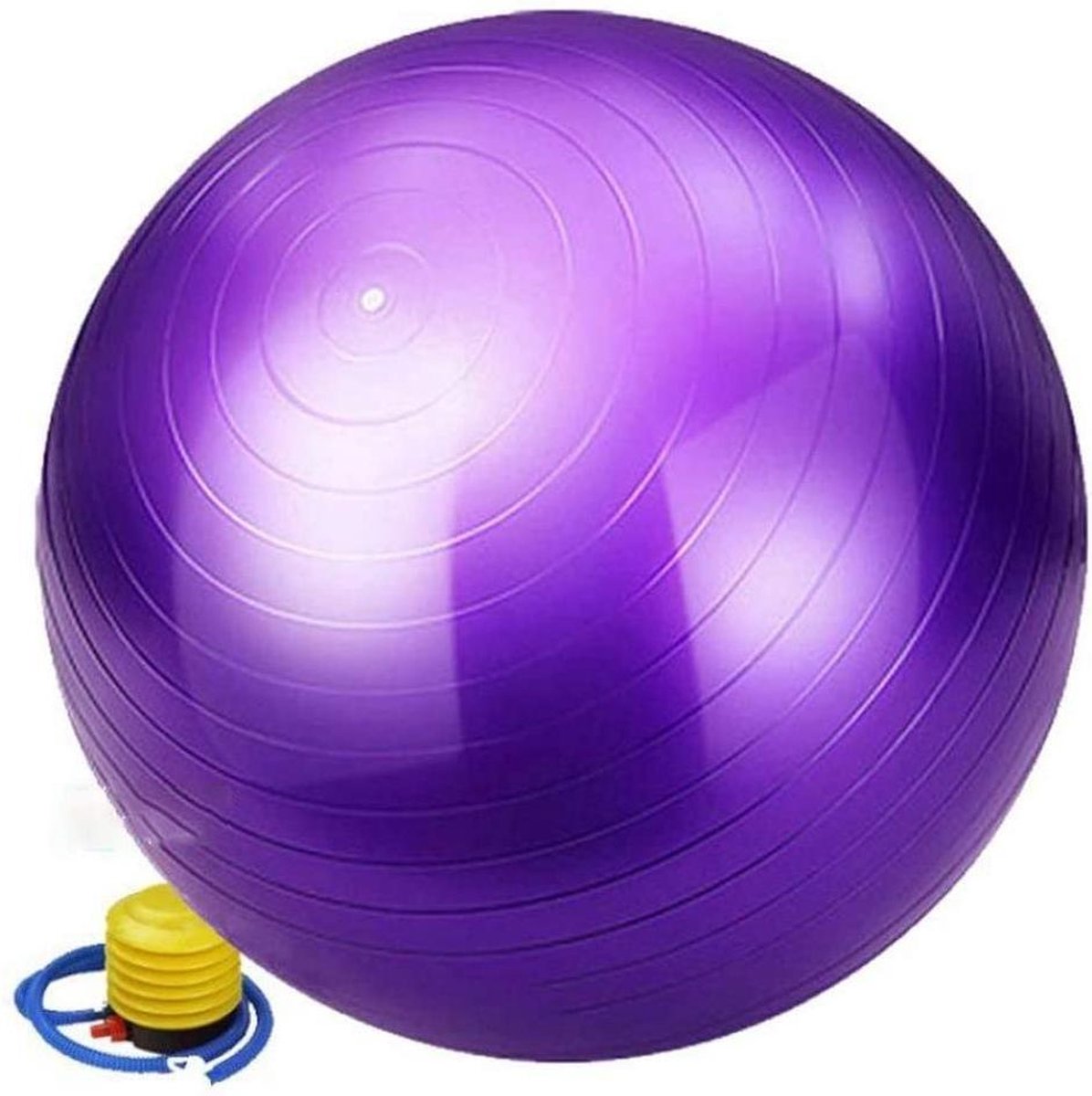 Duo Bakkersport - 65 cm Gymnastic Ball - Yoga fitness - Vinyl - Inclusief handpompje Paars